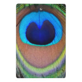 孔雀カラフル羽アイズポット ミニクリップボード (裏面)