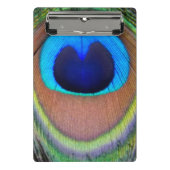 孔雀カラフル羽アイズポット ミニクリップボード (正面)
