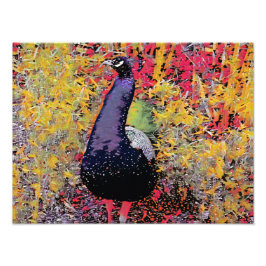 孔雀カラフル鳥 フォトプリント