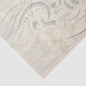 孔雀スクリプトコンパニオンの切り離し紙 薄葉紙 (詳細)