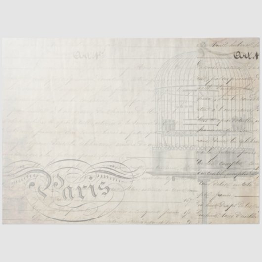 孔雀スクリプトコンパニオンの切り離し紙 薄葉紙 (正面)