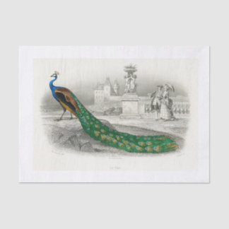 孔雀デコページ紙 薄葉紙