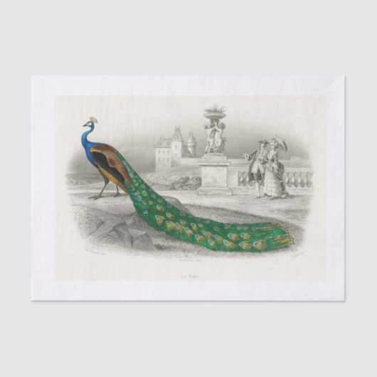 孔雀デコページ紙 薄葉紙 (正面)