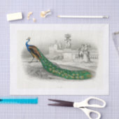 孔雀デコページ紙 薄葉紙 (クラフト)