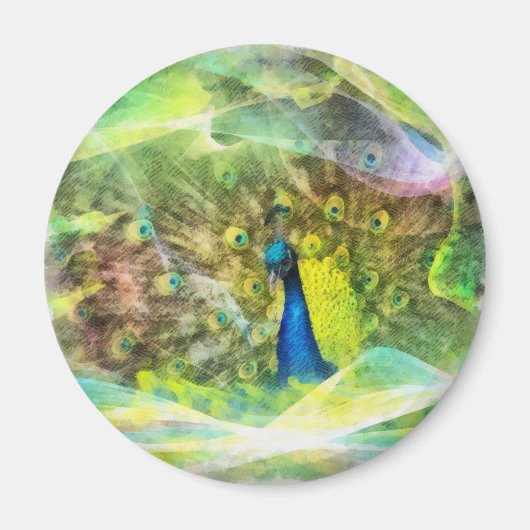 孔雀デジタ絵画ル マグネット (正面)