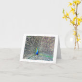 孔雀ノートカード カード (黄色い花)