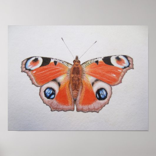 孔雀バタフライ2012 ポスター (正面)