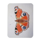 孔雀バタフライ2012 マグネット (縦)