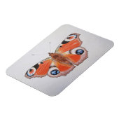 孔雀バタフライ2012 マグネット (左側)