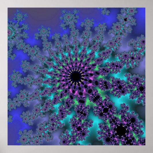 孔雀バースト ポスター (正面)