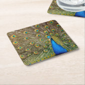 孔雀パターンピーコック絵画アートワークの動物 スクエアペーパーコースター (アングル)