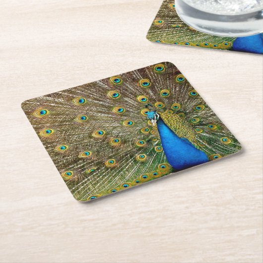 孔雀パターンピーコック絵画アートワークの動物 スクエアペーパーコースター (アングル)