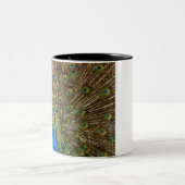 孔雀パターンピーコック絵画アートワークの動物 ツートーンマグカップ (中央)