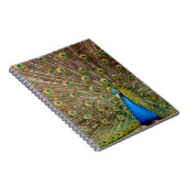 孔雀パターンピーコック絵画アートワークの動物 ノートブック (右側)