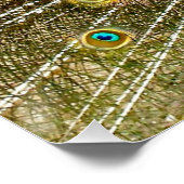 孔雀パターンピーコック絵画アートワークの動物 ポスター (コーナー)