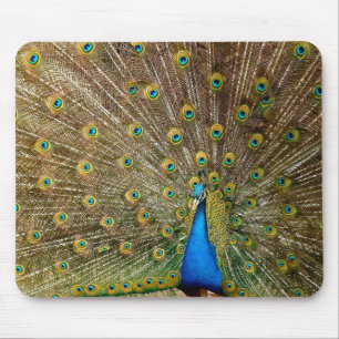 孔雀パターンピーコック絵画アートワークの動物 マウスパッド