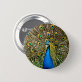 孔雀パターンピーコック絵画アートワークの動物 缶バッジ (正面&裏面)
