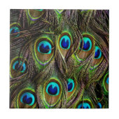 孔雀パターン タイル (正面)