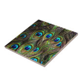 孔雀パターン タイル (側面)