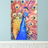 孔雀パワーショーオフ キャンバスプリント (インサイチュ (ウッドフロア))