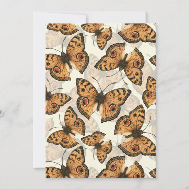 孔雀パンシー蝶パターン (正面)