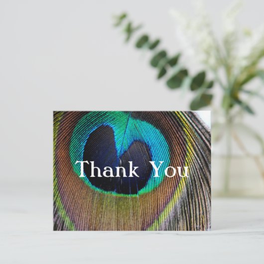 孔雀フェザーありがとうポストカード ポストカード (スタンド正面)