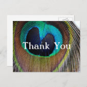 孔雀フェザーありがとうポストカード ポストカード (正面/裏面)
