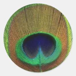 孔雀フェザーステッカー ラウンドシール