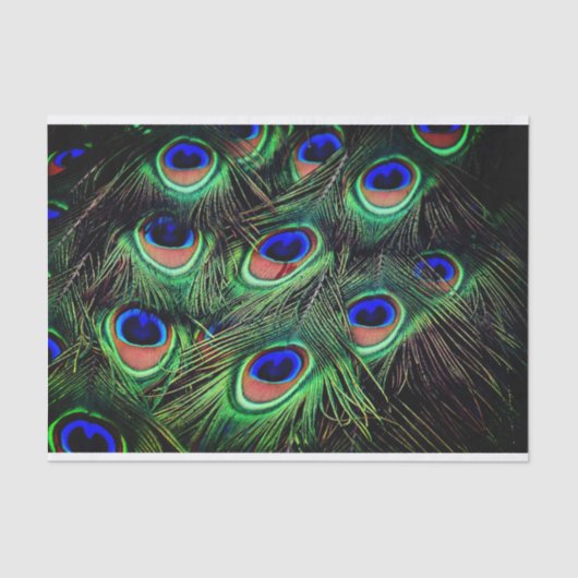 孔雀フェザーティシュギフト紙 薄葉紙 (正面)