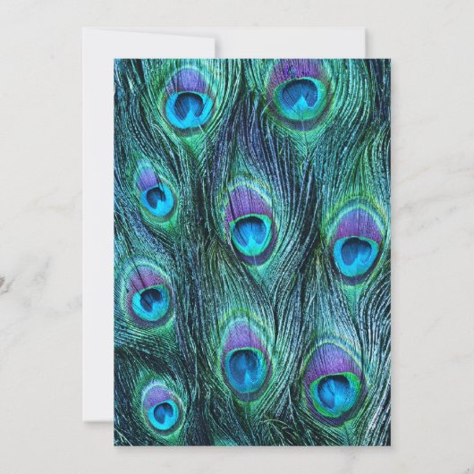 孔雀フェザードラマ – 結婚式招待状 招待状 (裏面)