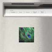 孔雀フェザーラッキー マグネット (インサイチュ (食洗機))