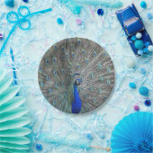 孔雀フォト紙プレート ペーパープレート (パーティー)