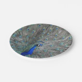 孔雀フォト紙プレート ペーパープレート (アングル)