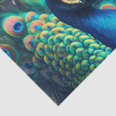 孔雀プロファイル 薄葉紙 (詳細)