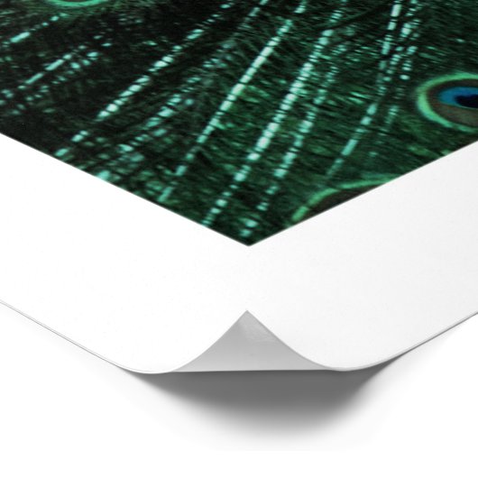 孔雀ポスター ポスター (角)