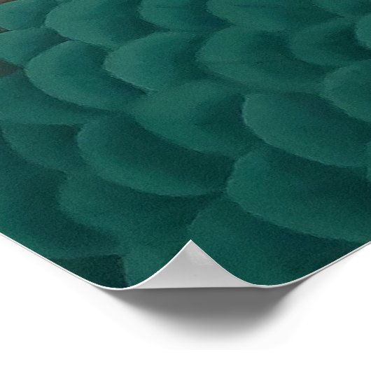 孔雀ポスター ポスター (角)