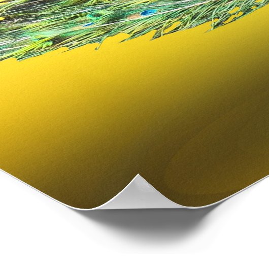 孔雀ポスター ポスター (角)