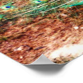 孔雀ポスター ポスター (角)