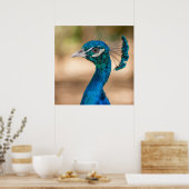 孔雀ポスター ポスター (キッチン)