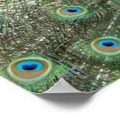 孔雀ポスター ポスター (角)