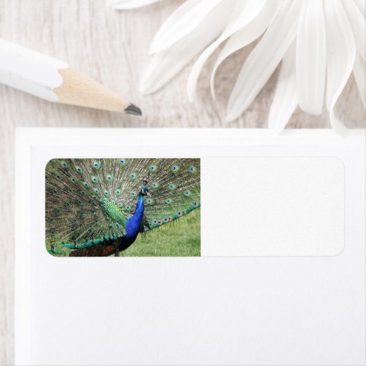 孔雀ラベル ラベル (インサイチュ)