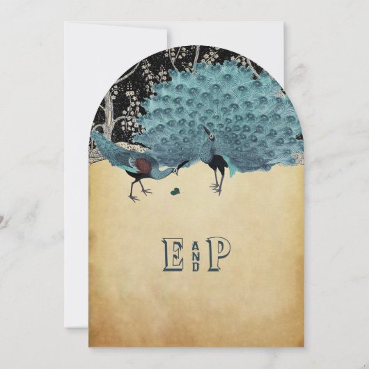 孔雀ヴィンテージ羽と孔雀 招待状 (裏面)