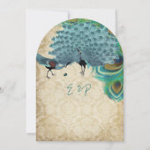 孔雀ヴィンテージ羽と孔雀 招待状 (裏面)