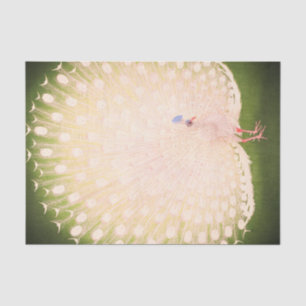 孔雀日本のティッシュペーパー 薄葉紙