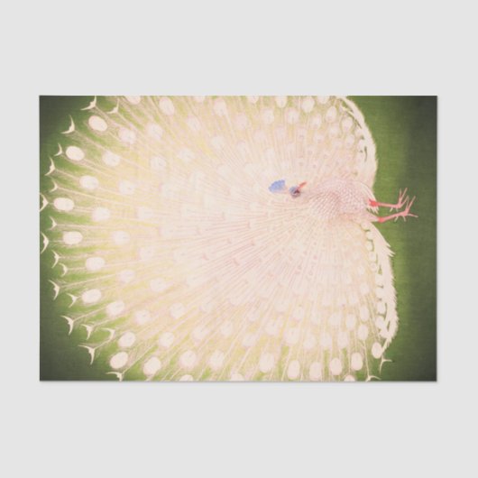 孔雀日本のティッシュペーパー 薄葉紙 (正面)