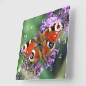 孔雀蝶式正方時計 スクエア壁時計 (傾斜)