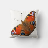 孔雀蝶装飾用クッション クッション (裏面)