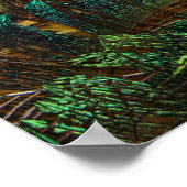 孔雀違うの羽 ポスター (角)