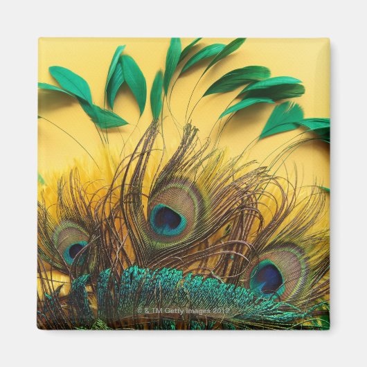 孔雀違うの羽 マグネット (正面)