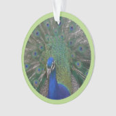 孔雀顔&羽毛顧客。オーナメント オーナメント (正面)
